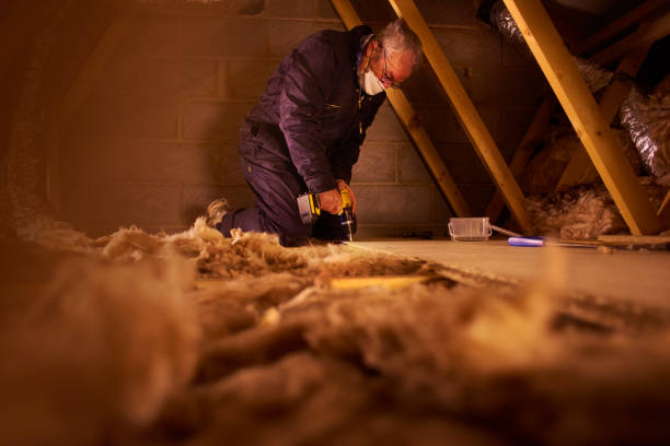 Best Types of Insulation in Stevens Point, WI